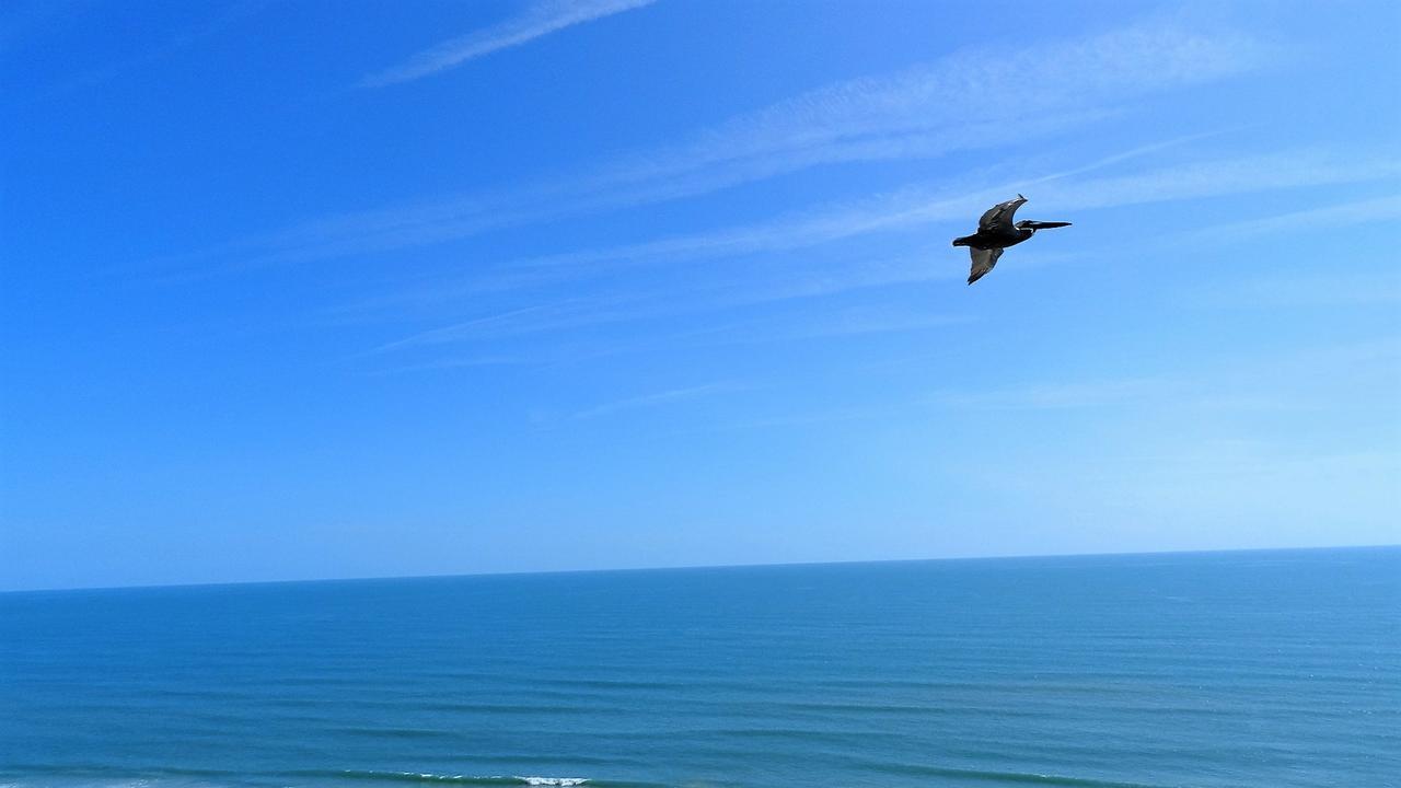 Penthouse Floor 1 Bedroom Resort Condo Direct Oceanfront Wyndham Ocean Walk - Daytona Funland 1908 Daytona Beach Exterior photo